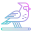 Cardinal 图标 64x64