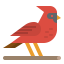 Cardinal icon 64x64