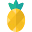 Pineapple biểu tượng 64x64