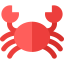Crab biểu tượng 64x64