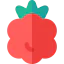 Raspberry ícono 64x64