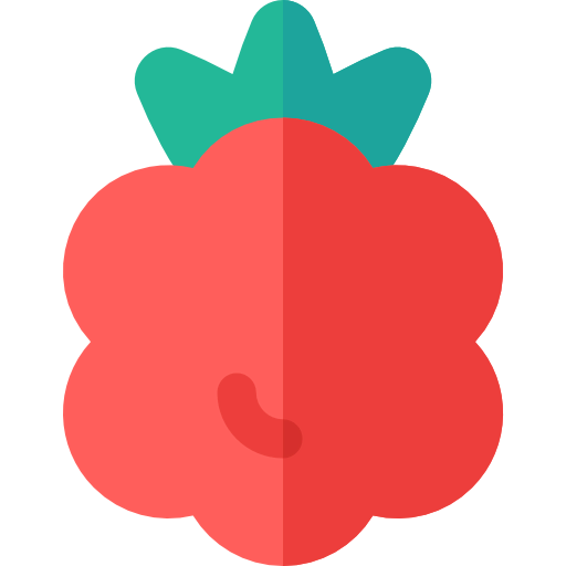 Raspberry ícono