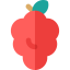 Grape biểu tượng 64x64