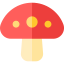 Mushroom biểu tượng 64x64