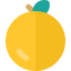 Orange biểu tượng 64x64