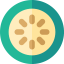 Kiwi biểu tượng 64x64