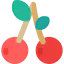 Cherry ícone 64x64