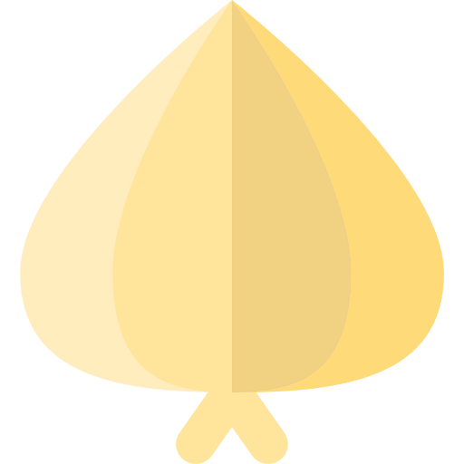 Onion icon