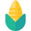 Corn ícone 64x64