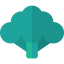 Broccoli ícone 64x64