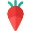 Radish ícone 64x64