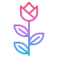 Flower Symbol 64x64