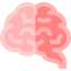 Brain icône 64x64