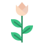 Flower іконка 64x64