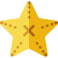 Sea star 图标 64x64