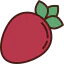 Strawberry icon 64x64