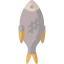 Dried fish icon 64x64