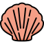 Shell icon 64x64