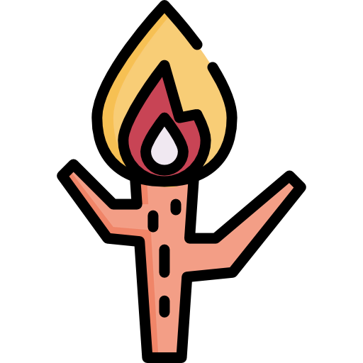 Fire icon