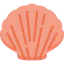 Shell icon 64x64