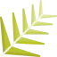 Leaf icon 64x64