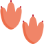 Footprint icon 64x64