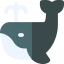 Whale biểu tượng 64x64