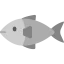 Fish 图标 64x64