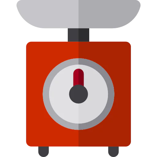 Scale icon