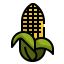 Corn 图标 64x64