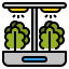 Hydroponic gardening 图标 64x64