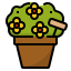 Flower pot 图标 64x64