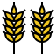 Wheat 상 64x64