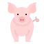Pig 상 64x64