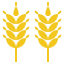 Wheat 상 64x64