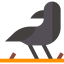 Crow icon 64x64