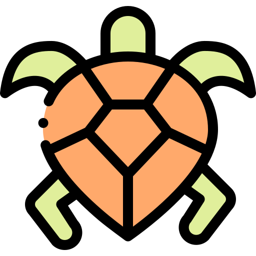 Turtle icon