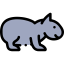 Wombat 图标 64x64