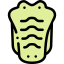 Crocodile 图标 64x64