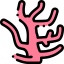 Coral 图标 64x64