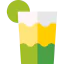 Shandy icon 64x64