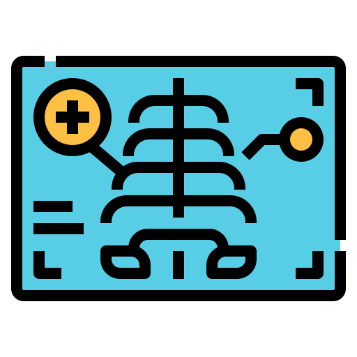 X ray icon