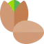 Pistachio icon 64x64