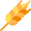 Wheat icon 64x64