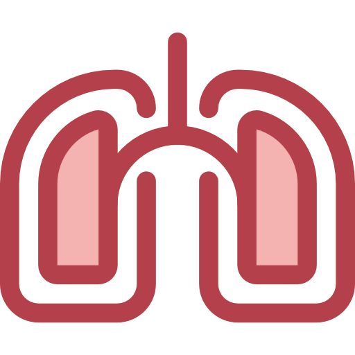 Lungs icon