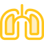 Lungs icon 64x64