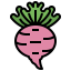 Turnip 图标 64x64