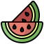 Watermelon 图标 64x64