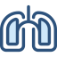 Lungs icon 64x64