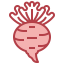 Turnip 图标 64x64